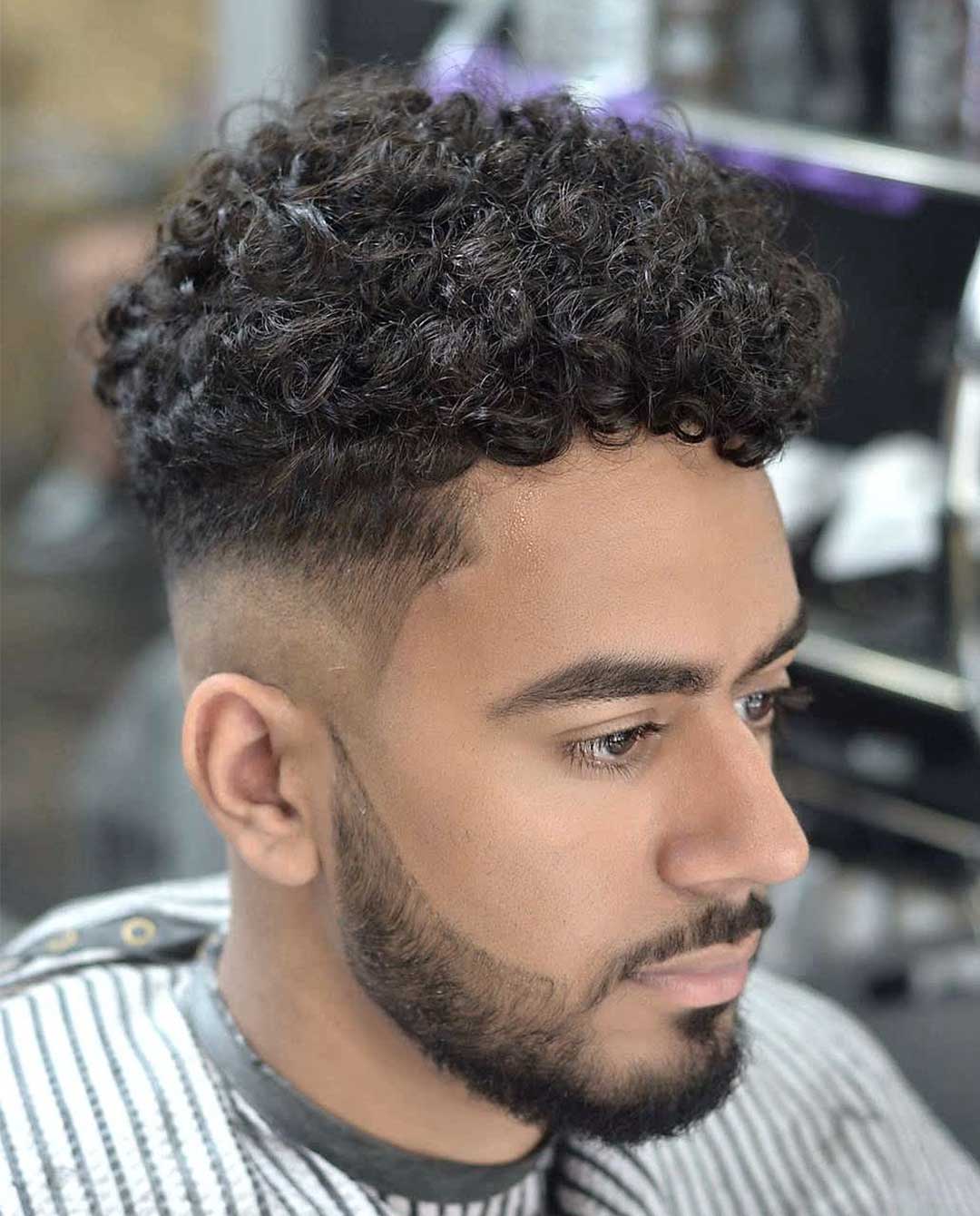 Curly High Top + Drop Fade