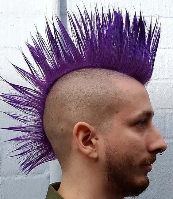 Purple Hair Raiser
