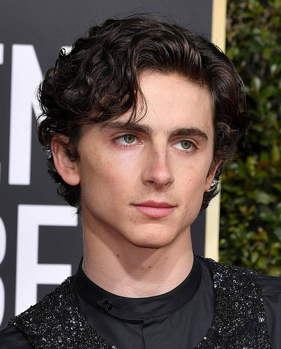 Timothée Chalamet Eboy Haircut