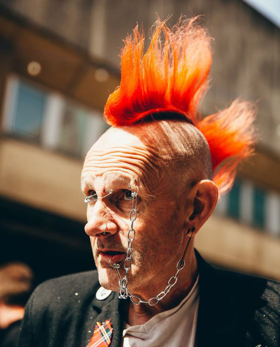 Two-Park Punk Mohawk