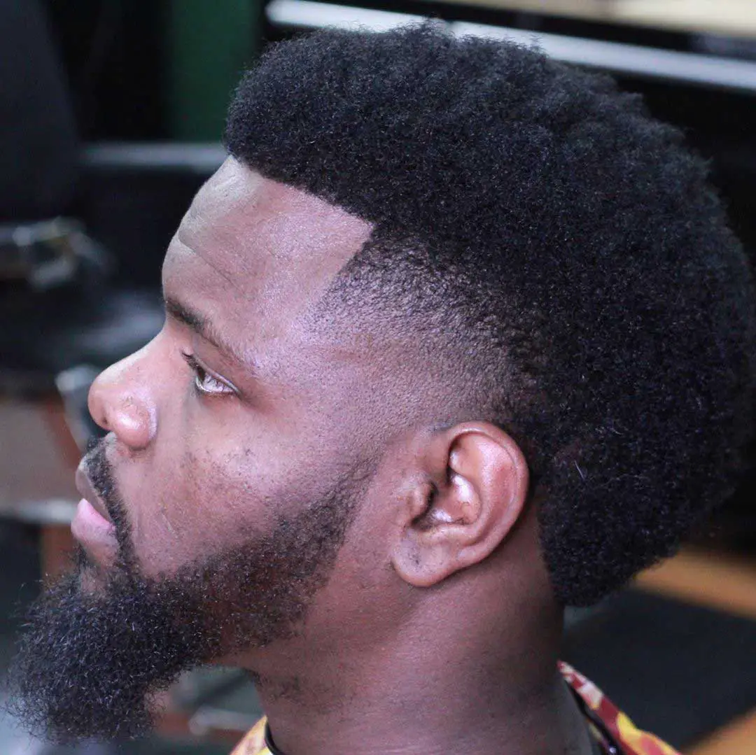 Thick Afro with Low Fade